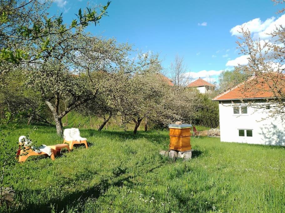Apartment Pirol: Dorf Hideaway Gornja Breza