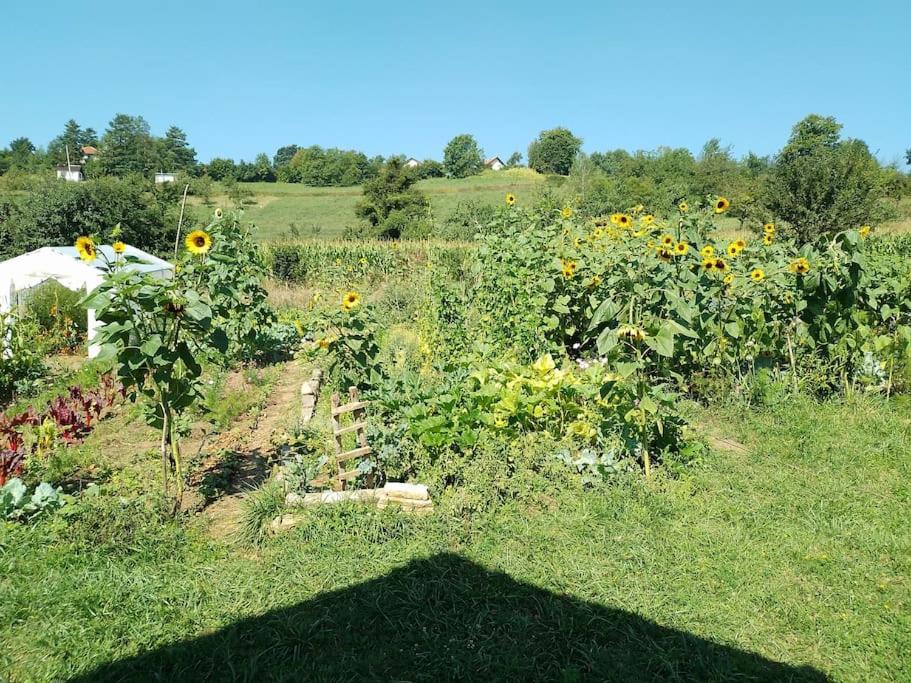 Apartment Pirol: Dorf Hideaway Gornja Breza