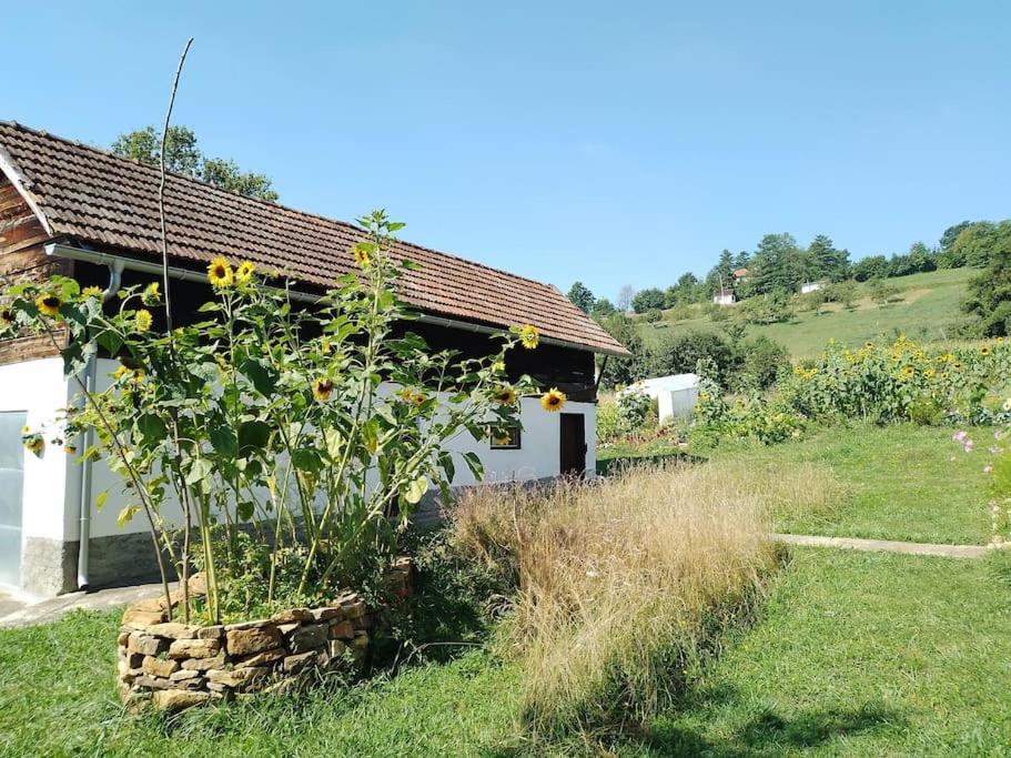 Apartment Pirol: Dorf Hideaway Gornja Breza