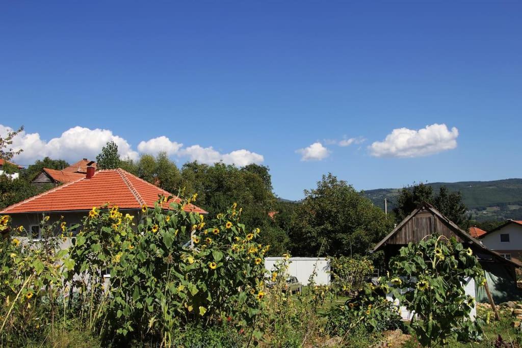 Apartment Pirol: Dorf Hideaway Gornja Breza