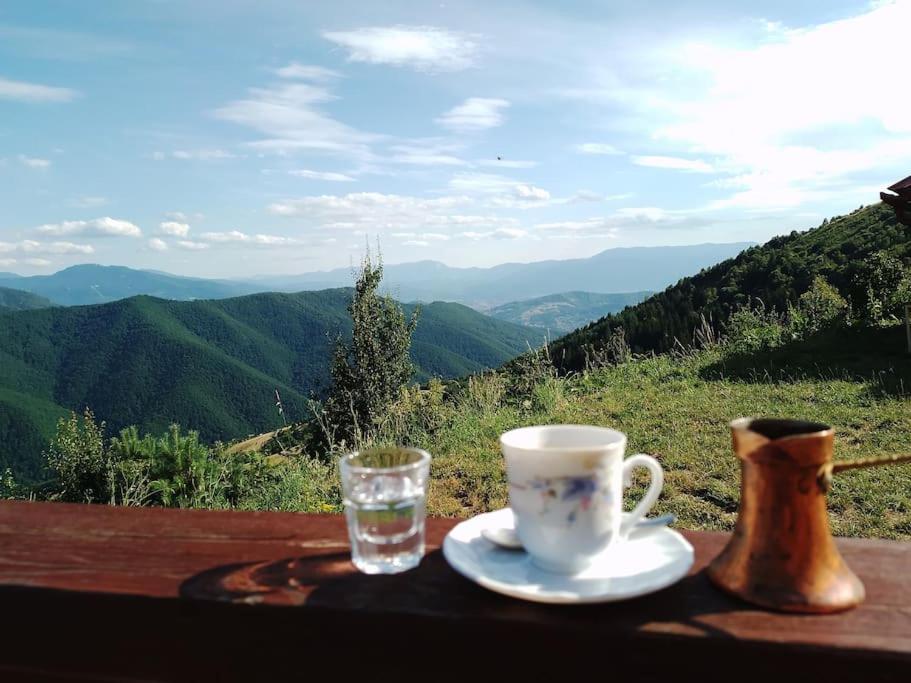 Apartment Pirol: Dorf Hideaway Gornja Breza