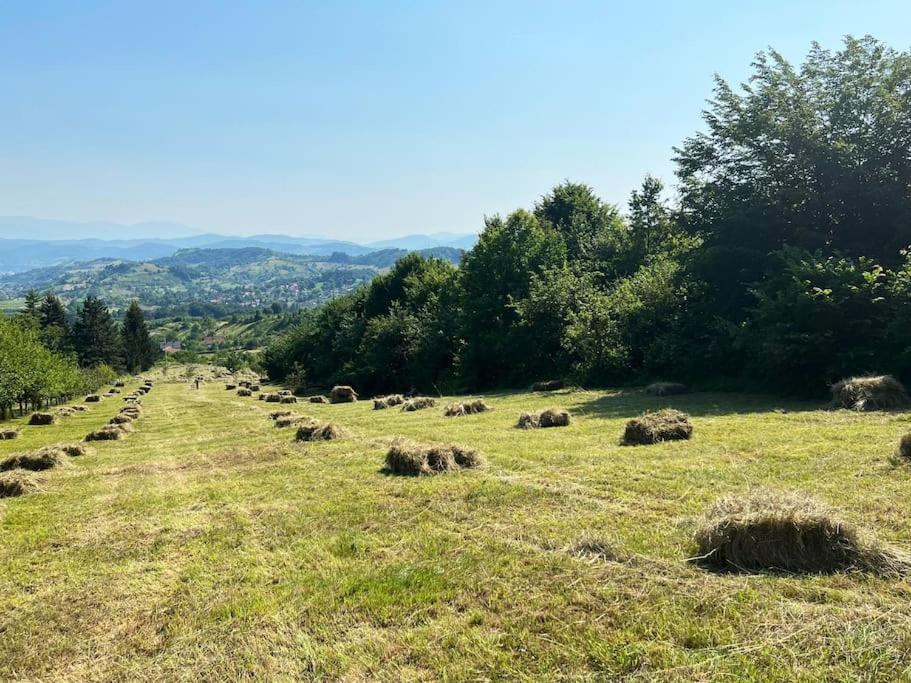 Apartment Pirol: Dorf Hideaway Gornja Breza