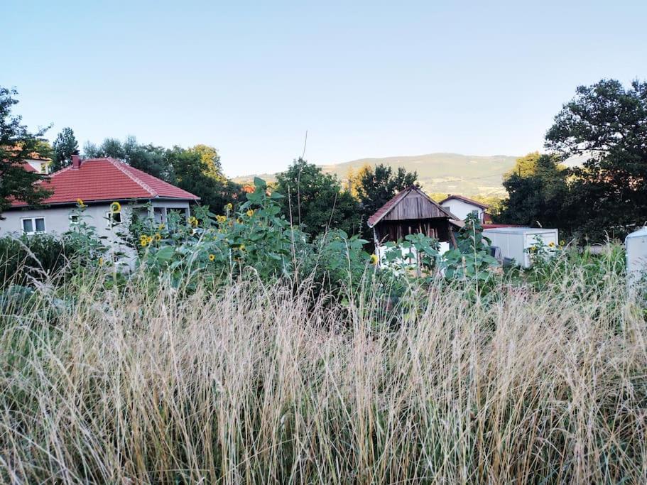 Apartment Pirol: Dorf Hideaway Gornja Breza