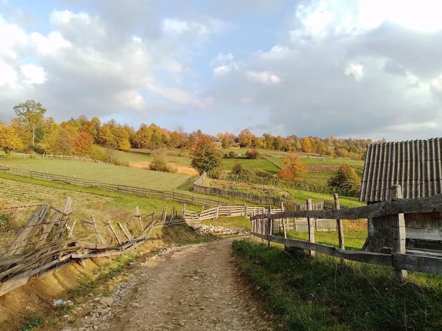 Apartment Pirol: Dorf Hideaway Gornja Breza