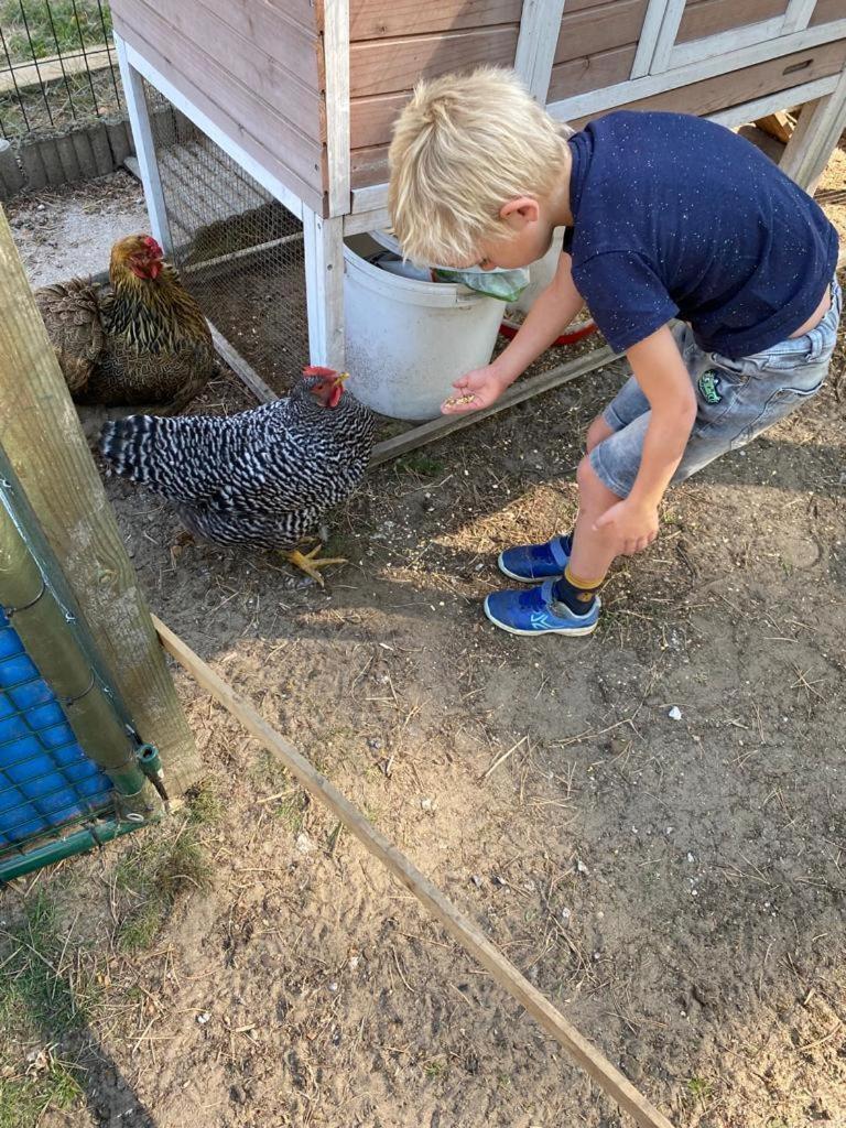 Camping het Swinnenbos