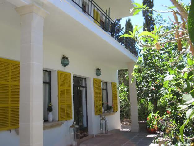 Photo 20