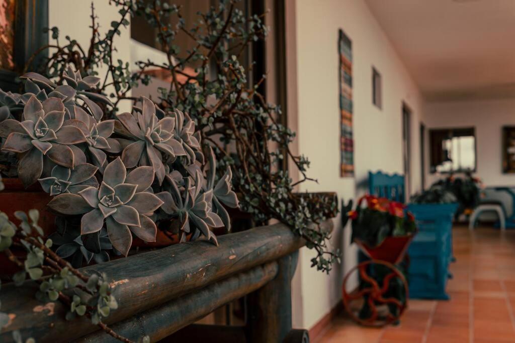 finca turística DanuBio Alojamiento Rural Pereira Risaralda