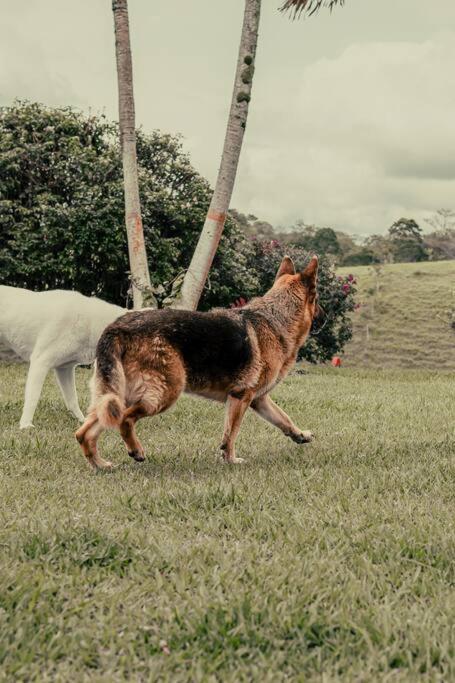 finca turística DanuBio Alojamiento Rural Pereira Risaralda