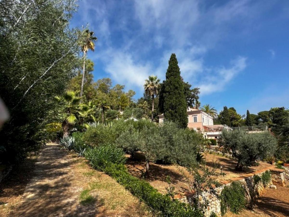 Villa delle Palme - Goelba photo 4