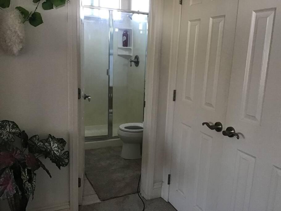Min to Downtown/Beach/Parks Free Parking Sleep 3+ view 5
