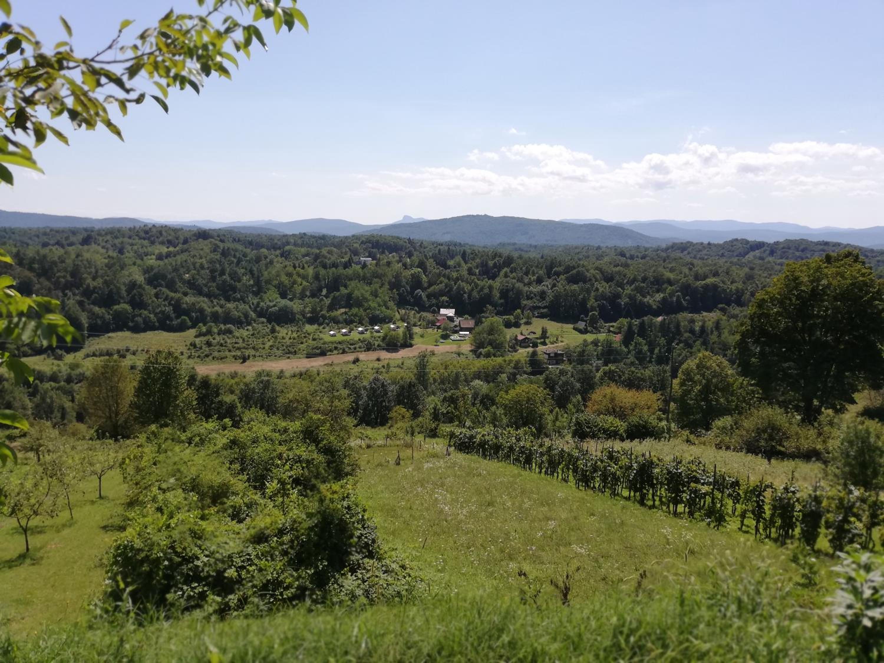 Camping Sretanwolf