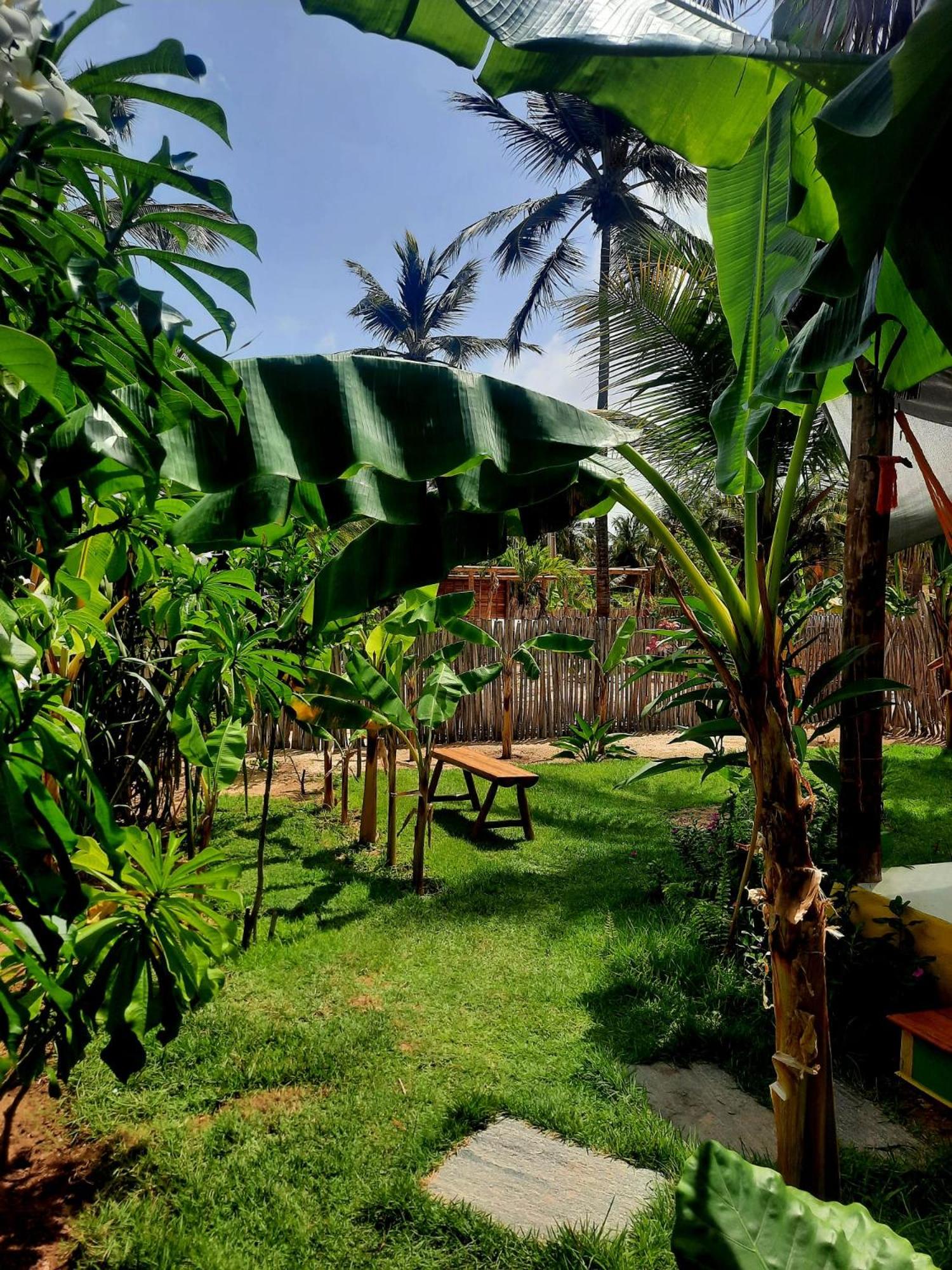 Côco Verde - Icaraí Kite Village