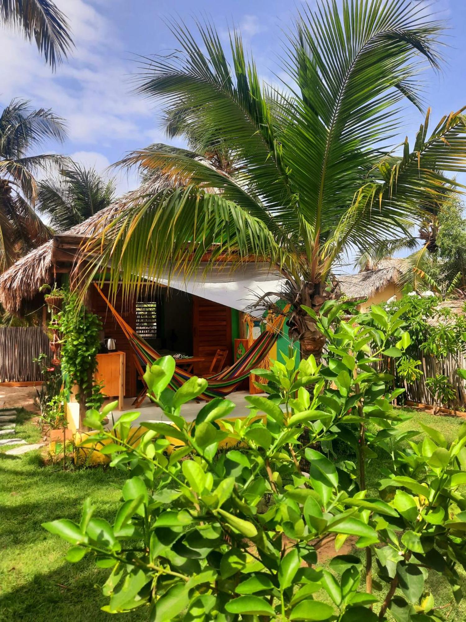 Côco Verde - Icaraí Kite Village