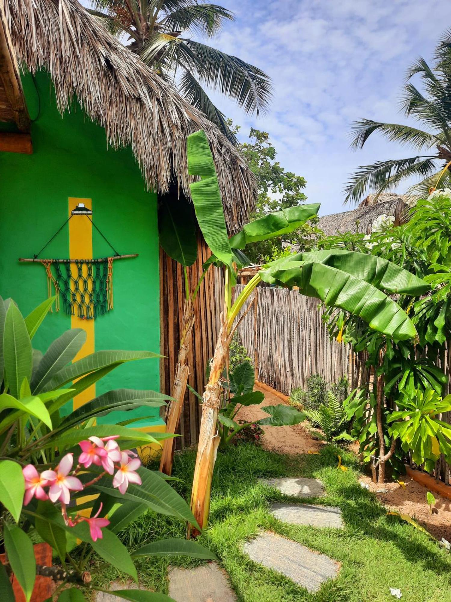Côco Verde - Icaraí Kite Village