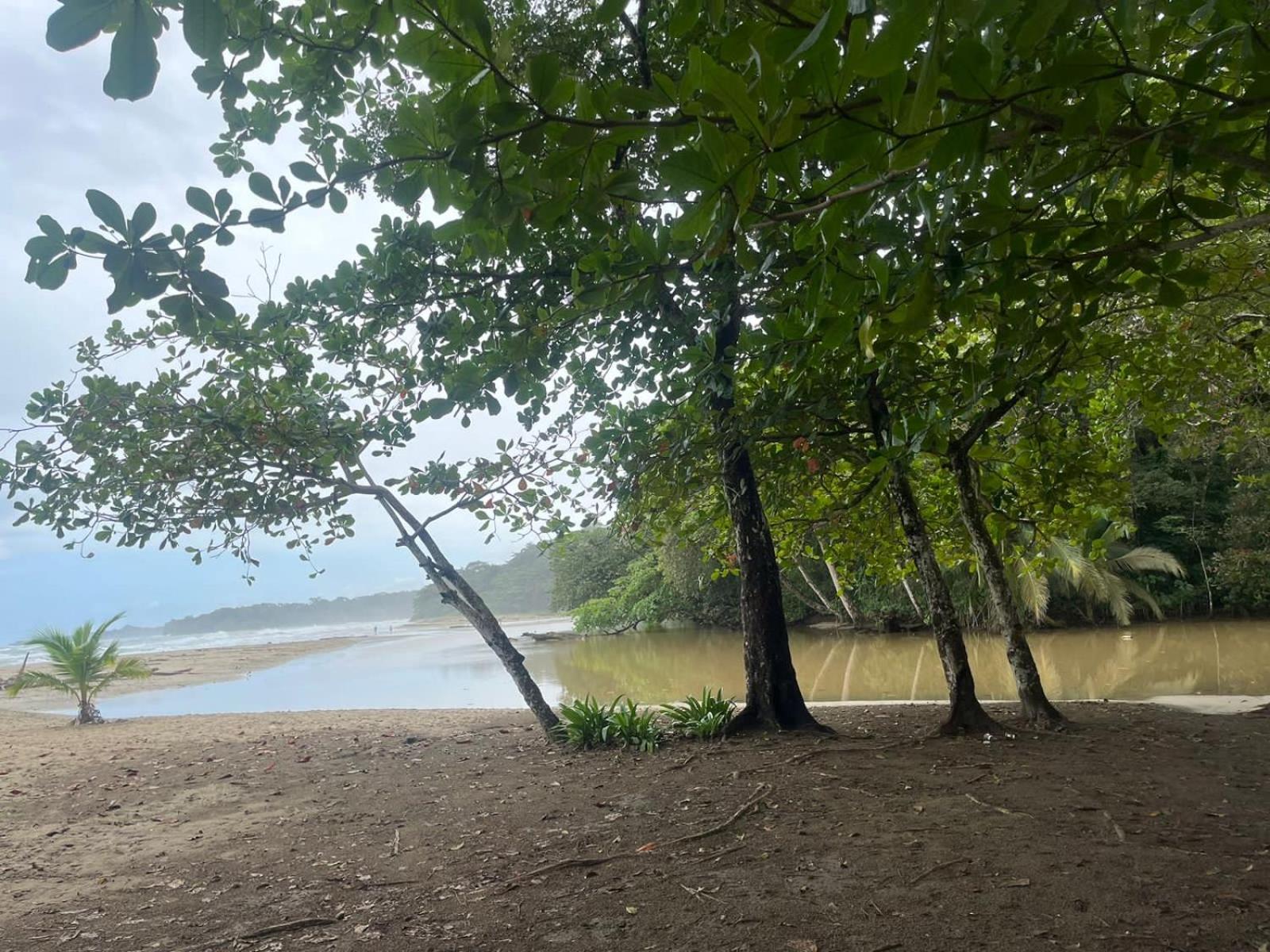 Secret Paradise