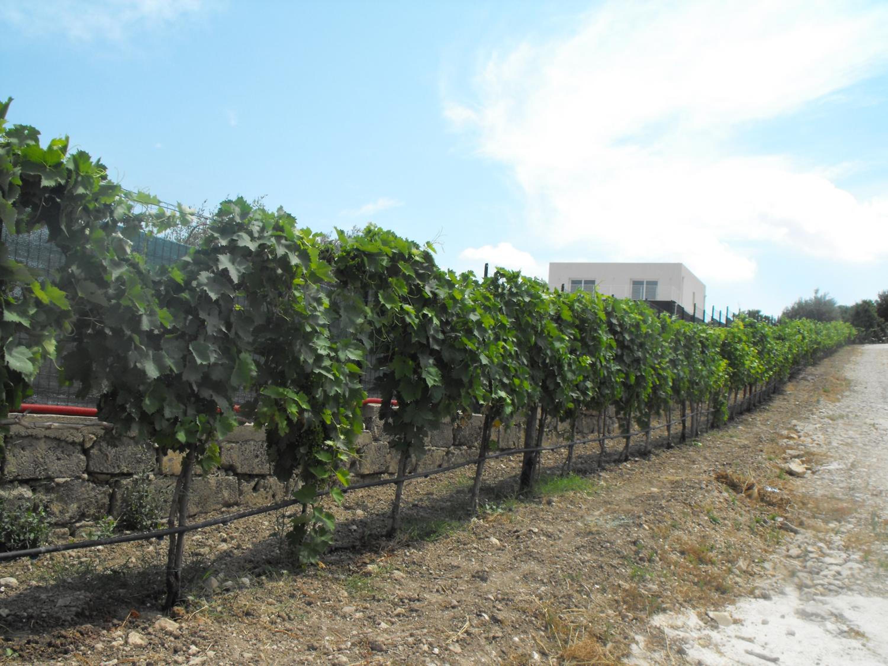 Agriturismoeloropizzuta