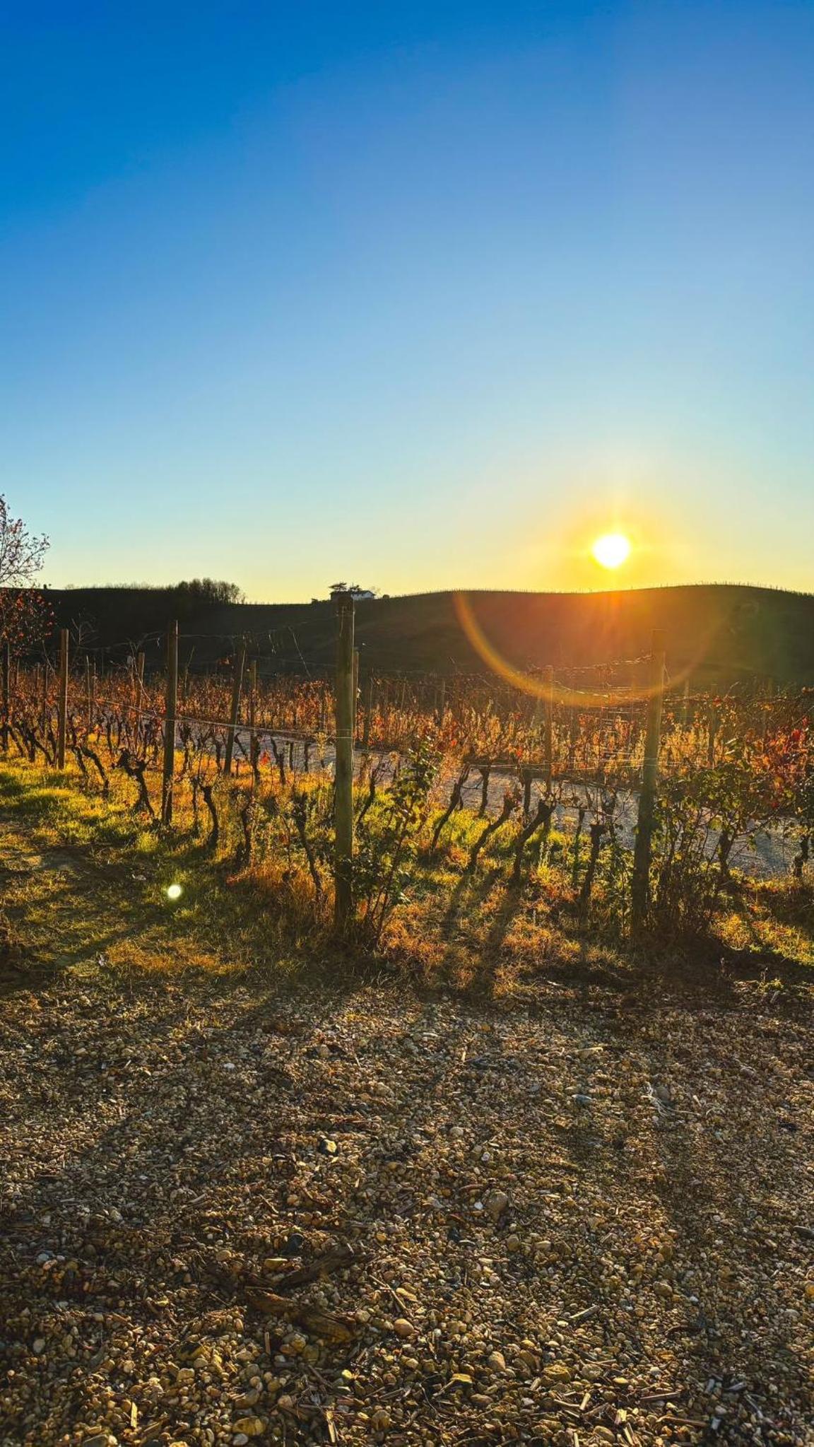Tenuta Agricola La Cava- Cantina e Agriturismo view 5