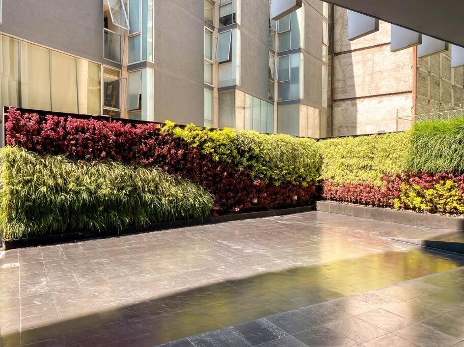 Suite Chic HCondesa