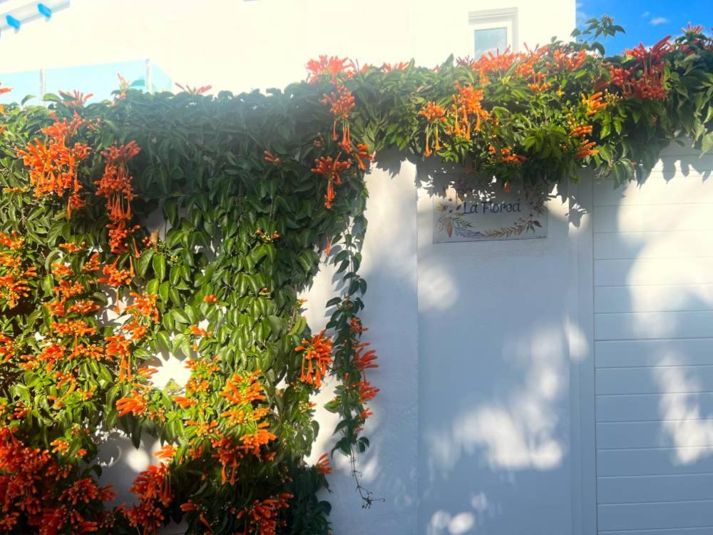 Casa Mijas - Hip ingericht appartement