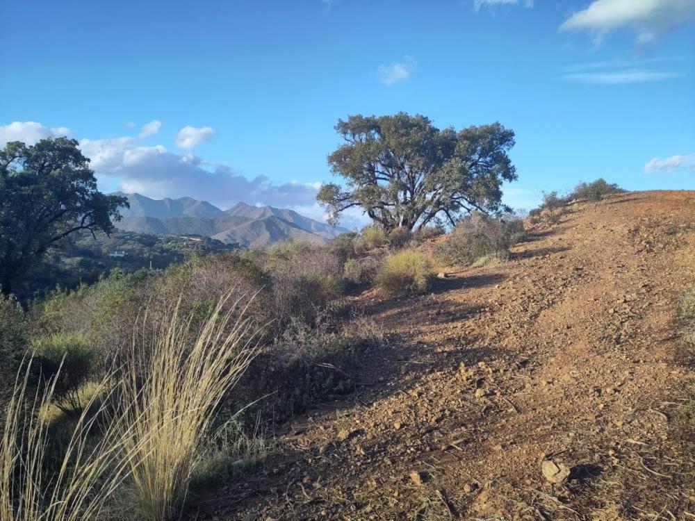Casa Mijas - Hip ingericht appartement