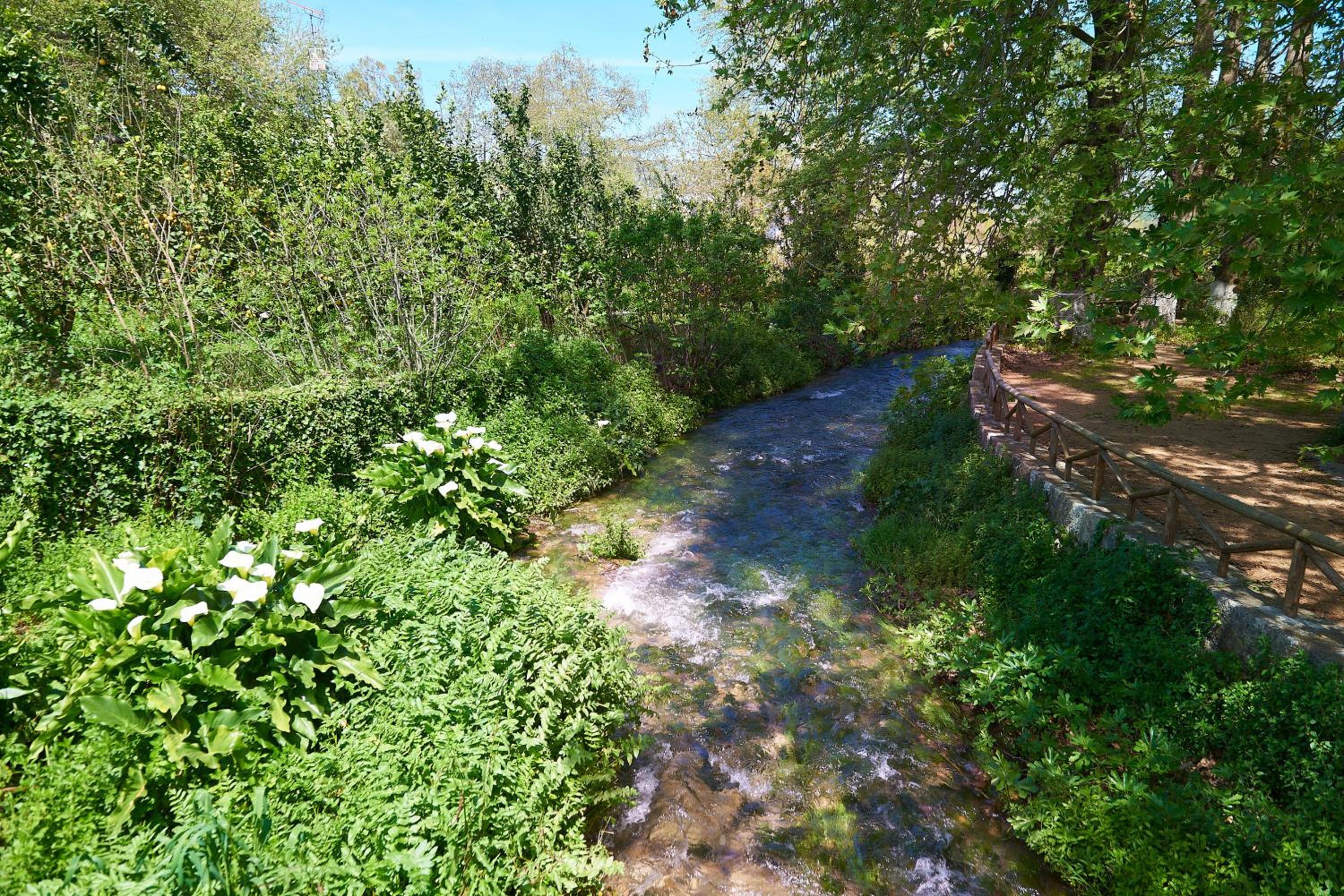 Photo 36