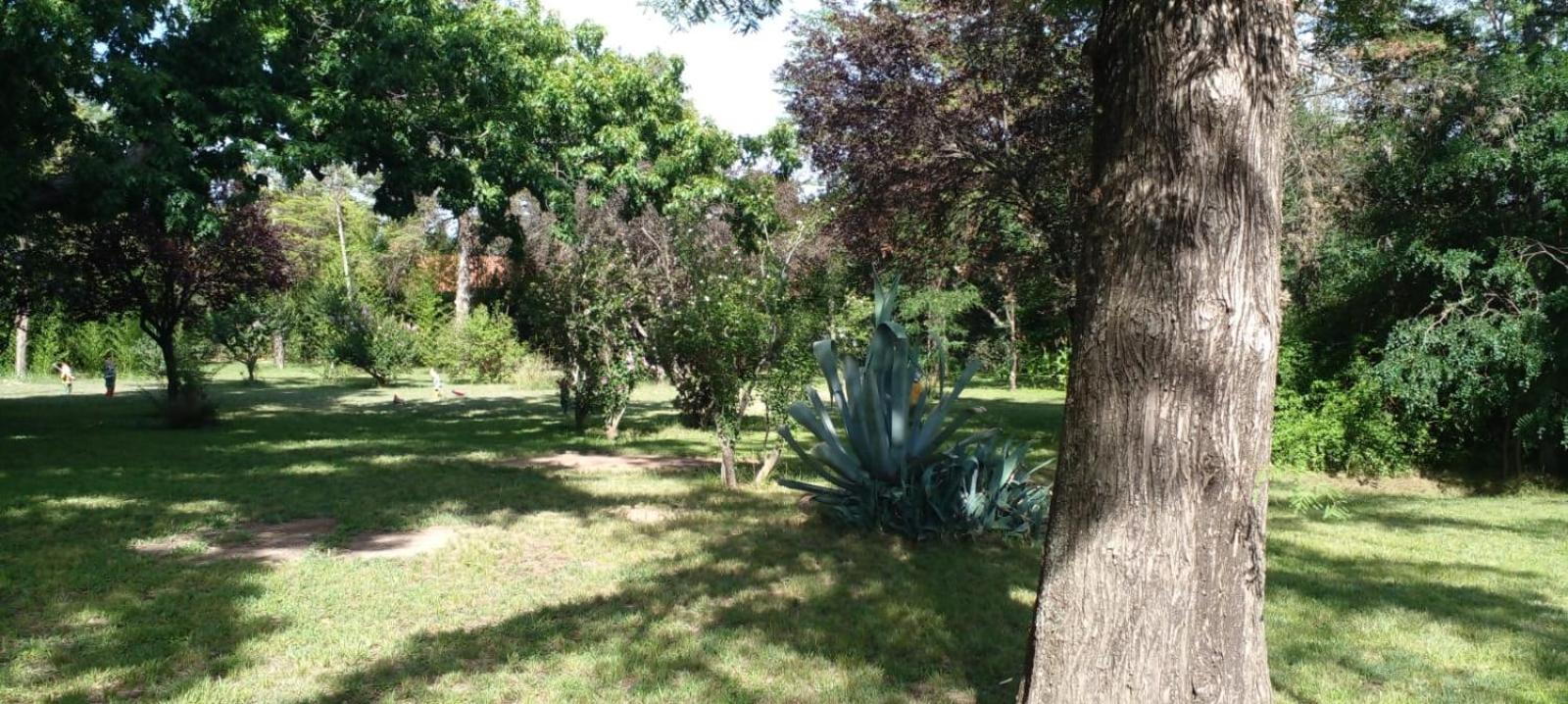 Cabaña en quinta la aurora