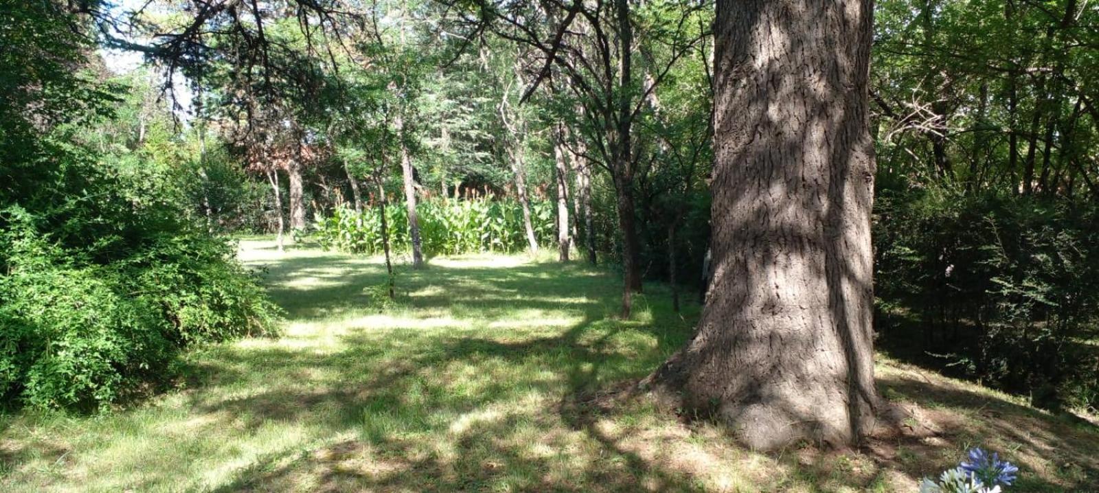 Cabaña en quinta la aurora