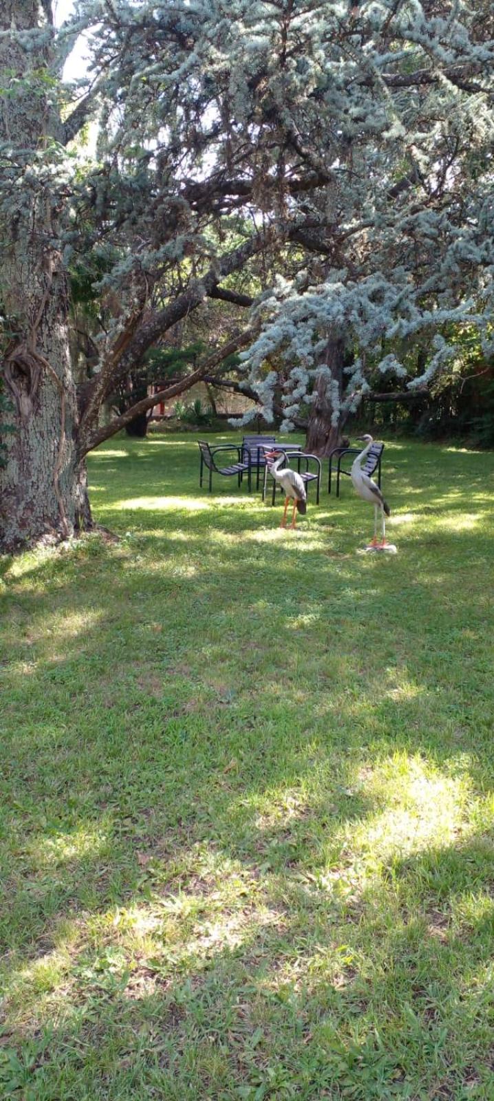 Cabaña en quinta la aurora