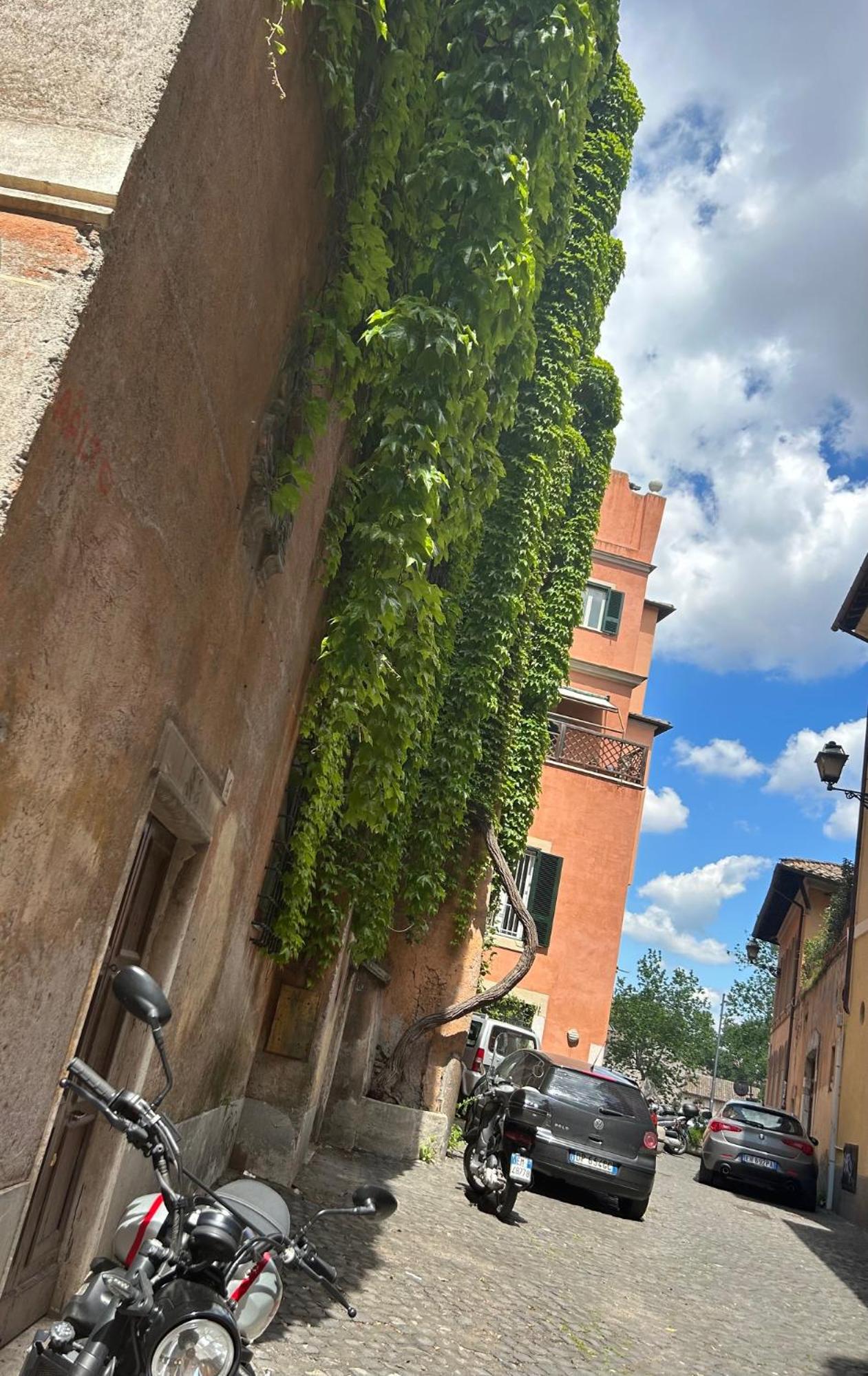 Garden House Trastevere