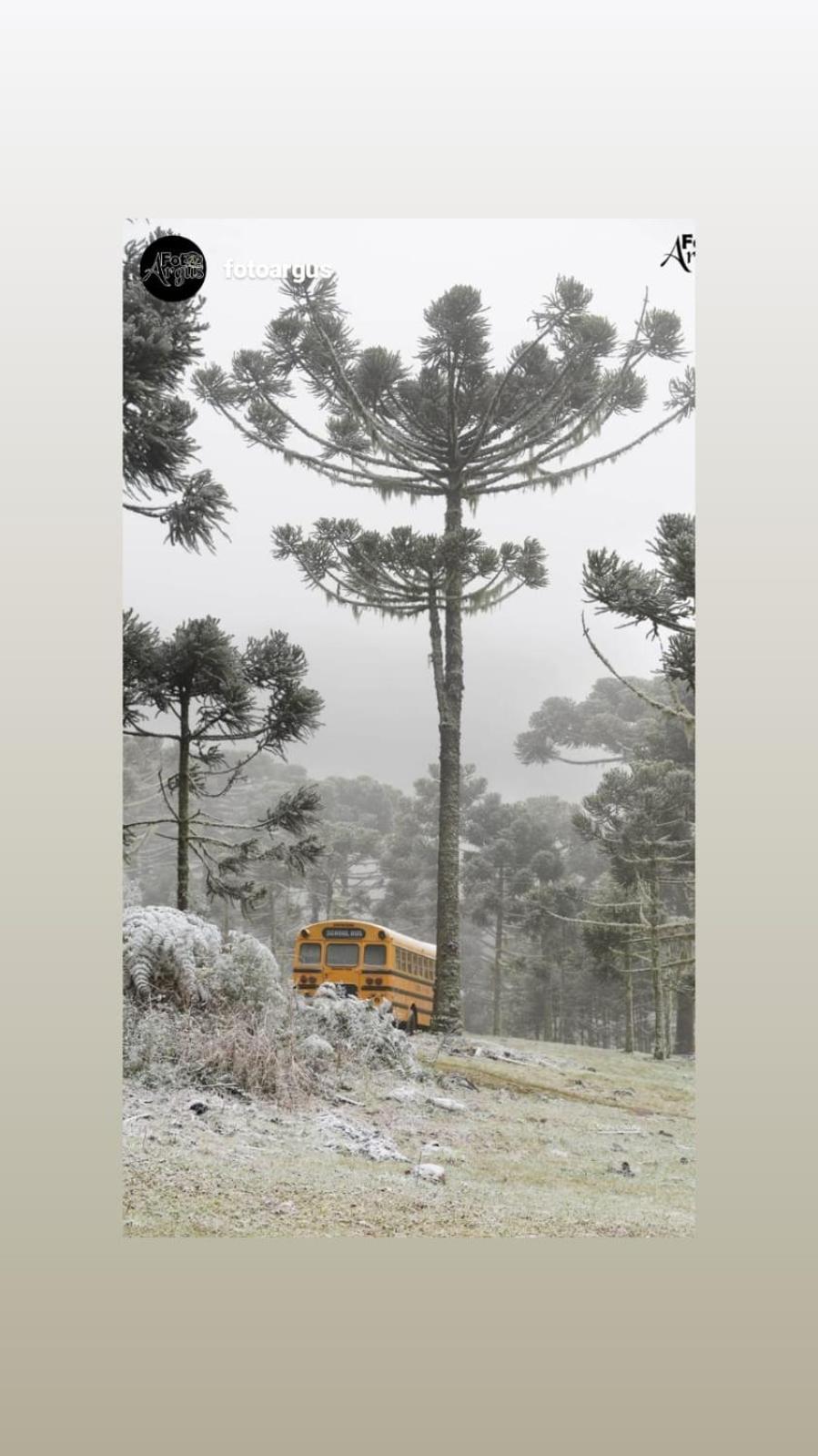 Snow Valley