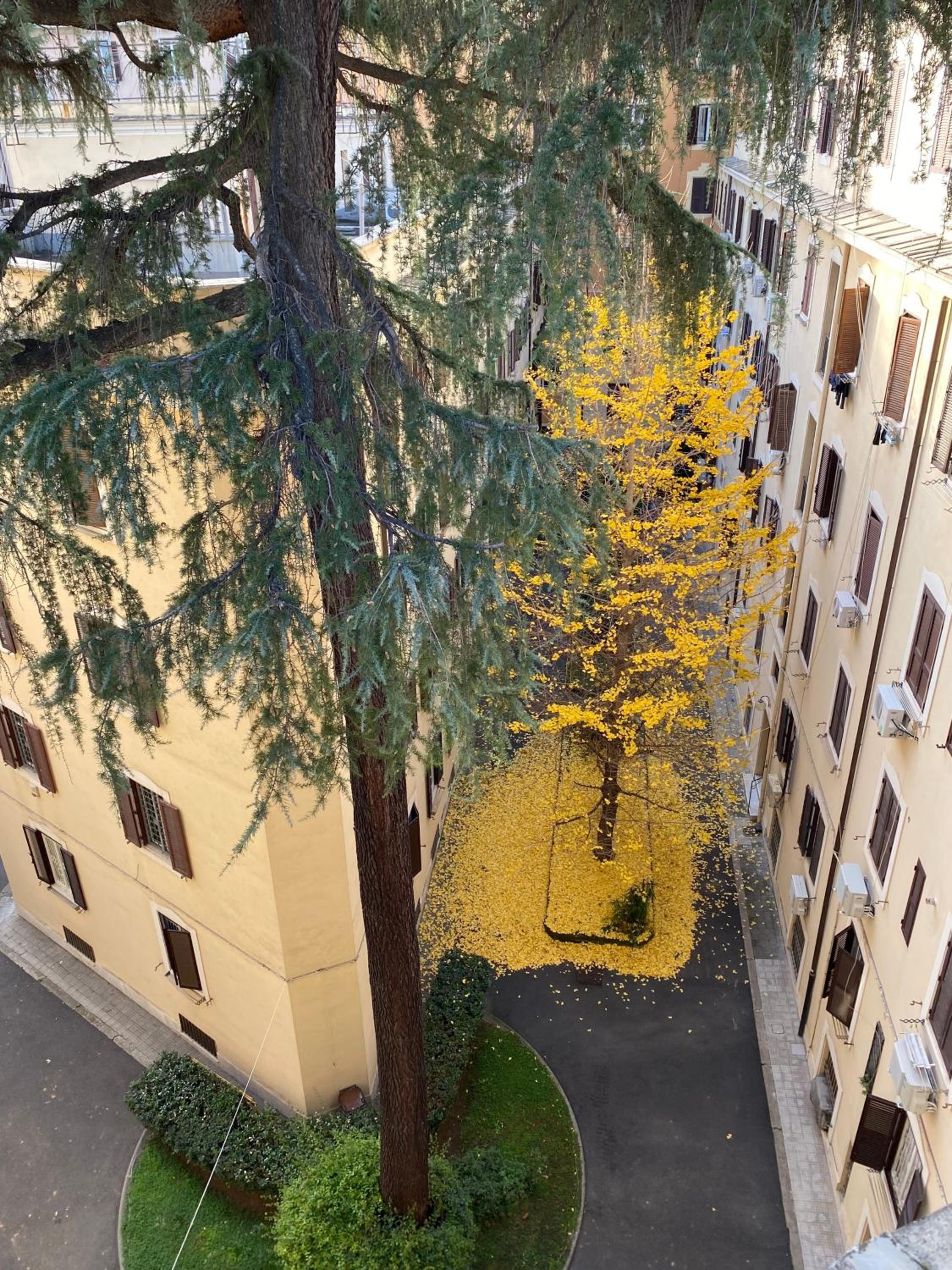 Destination Rome San Giovanni homey flat - 3 BDRs - Metro A