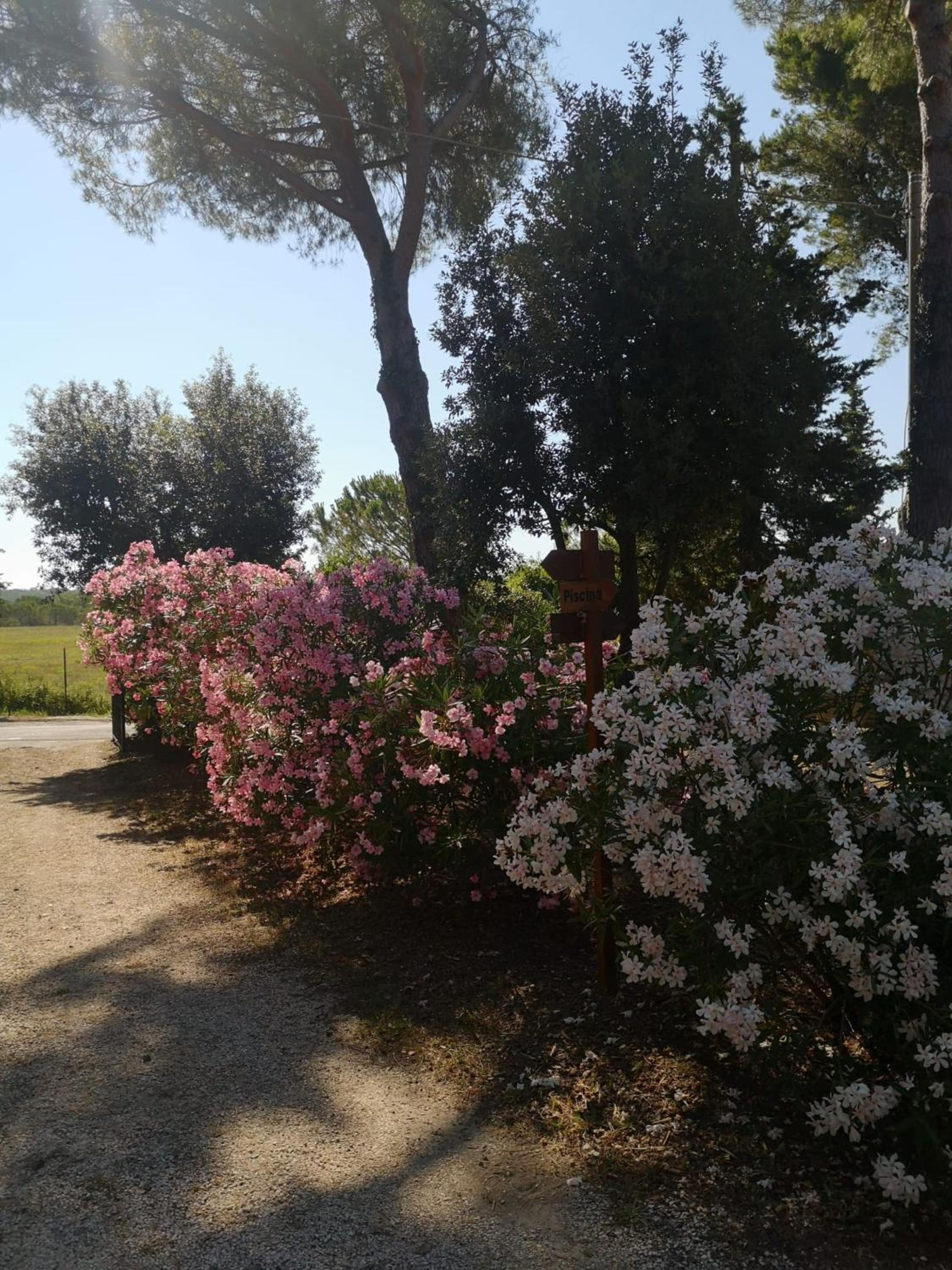 Podere Simonetta - A1