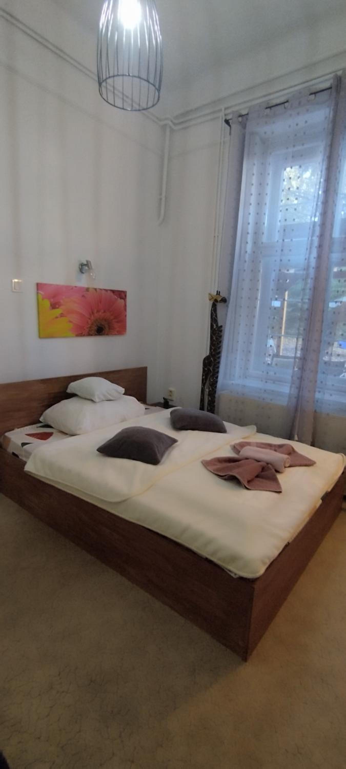 Rákóczi Guesthouse Miskolc view 4
