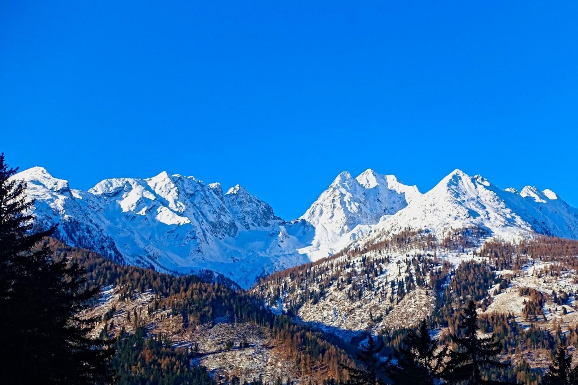 Almchalet Goldbergleiten