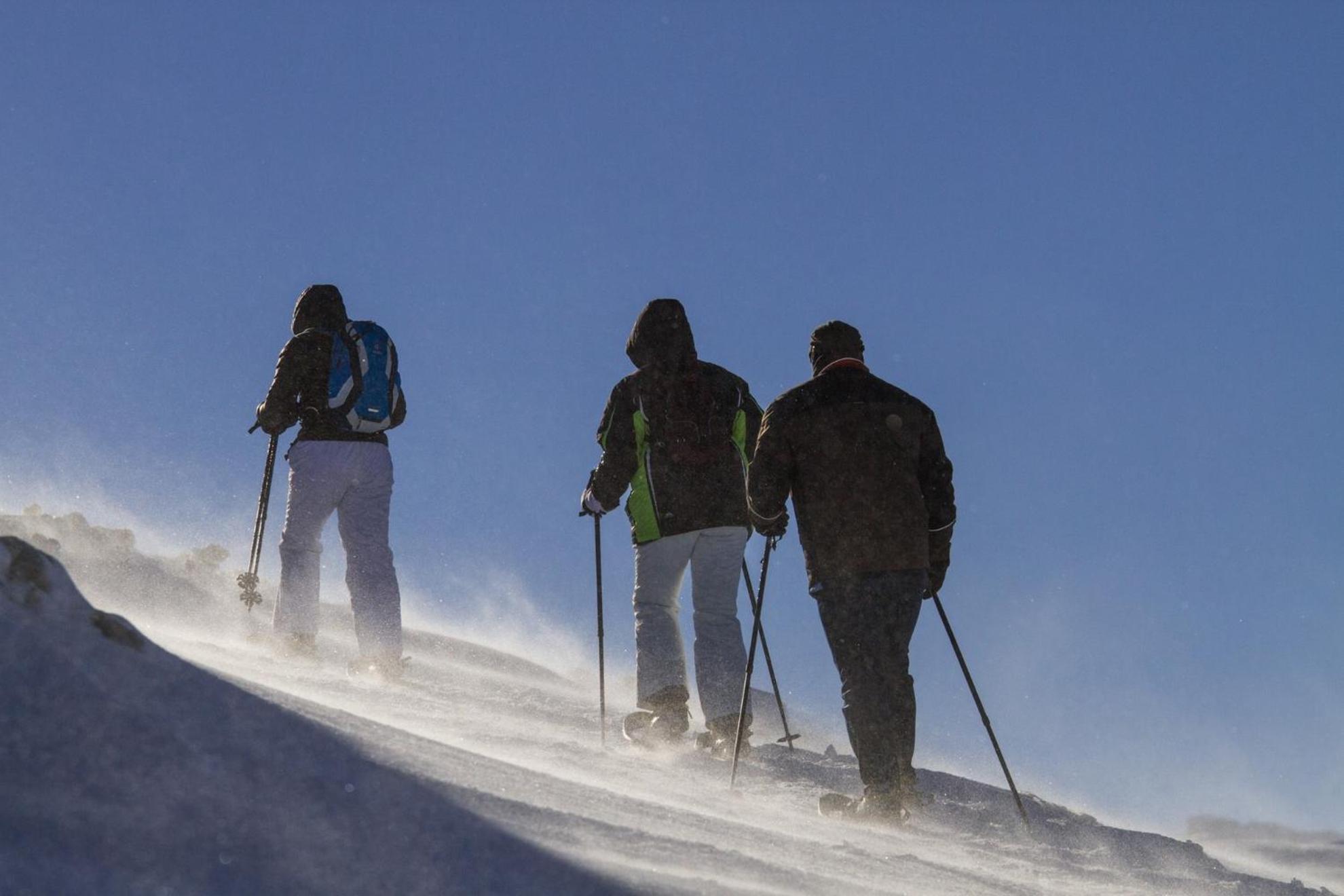 Almchalet Goldbergleiten