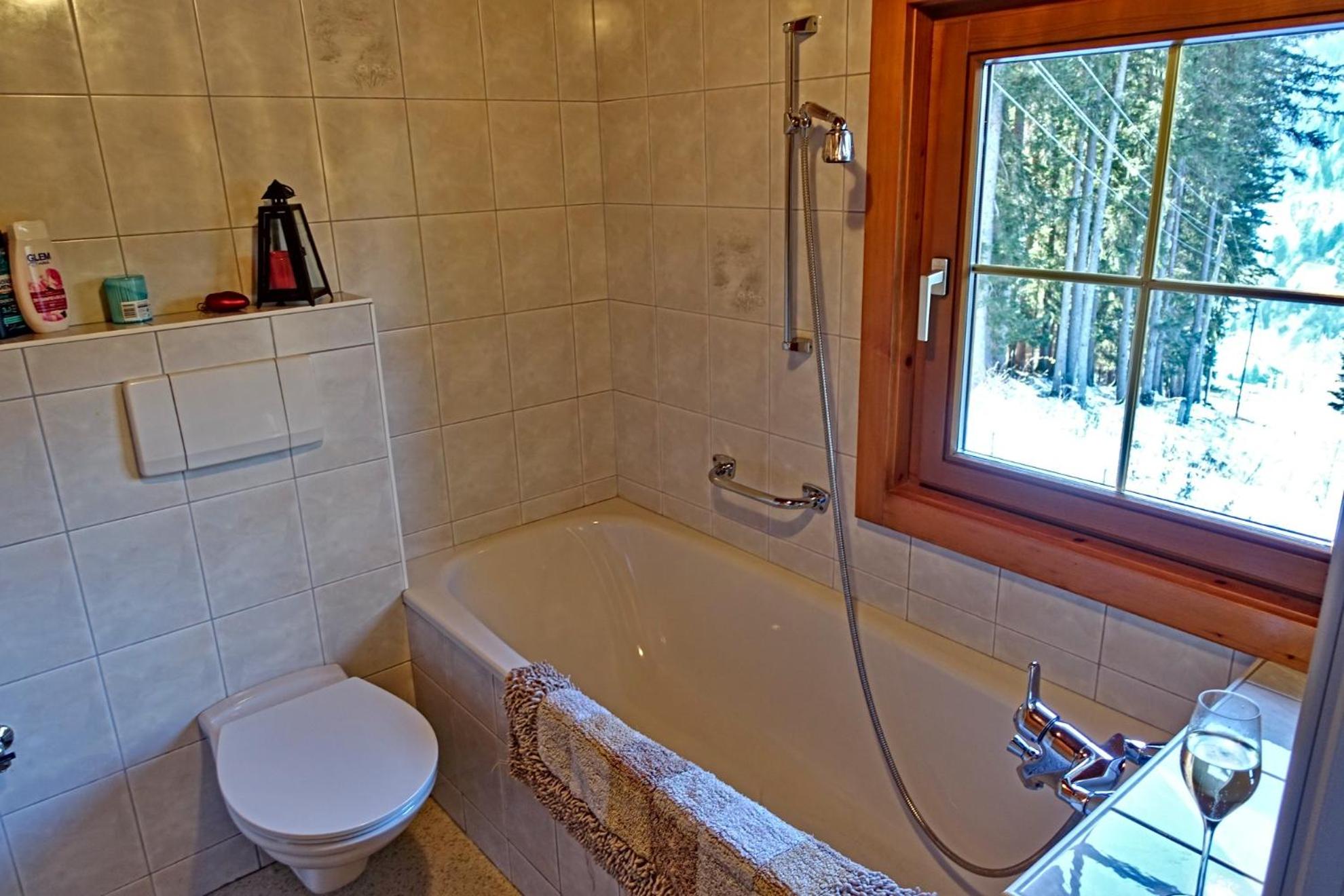 Almchalet Goldbergleiten