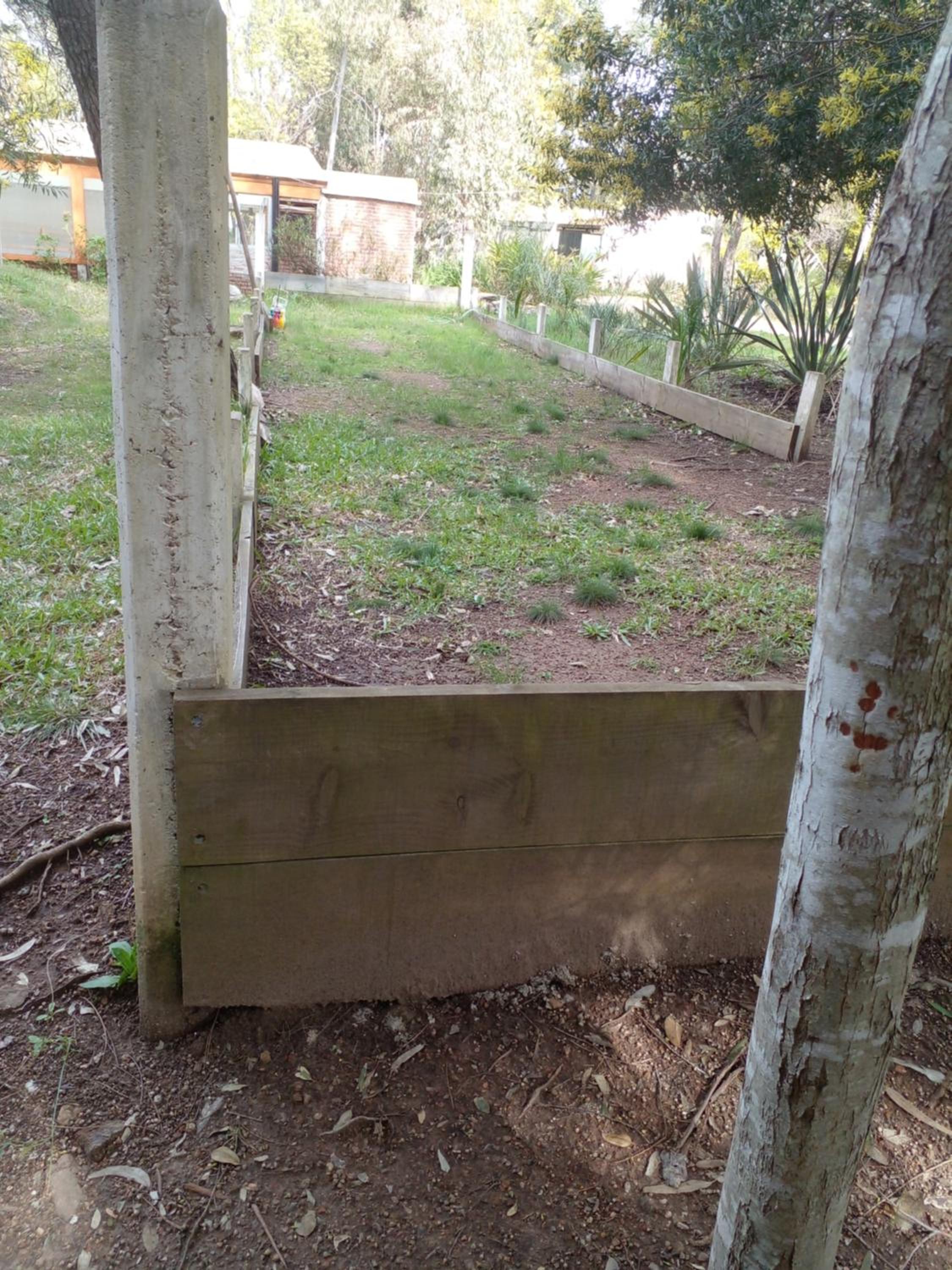 Photo 46