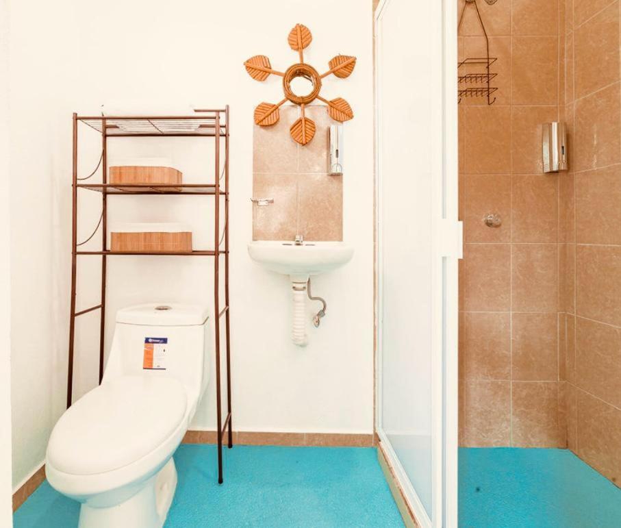 APARTAMENTO BRISAS DE ZICATELA