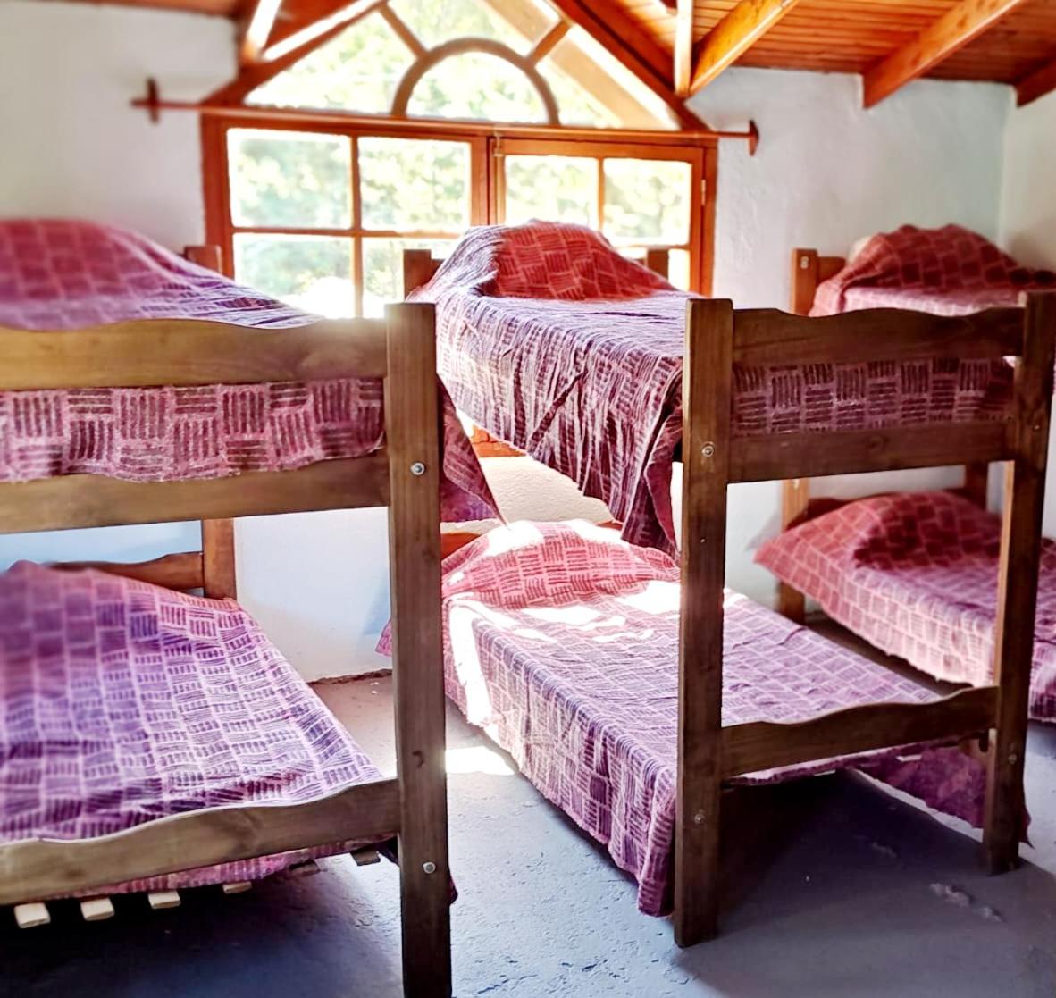 Hostel,Dormis y Camping Costa Bolsón