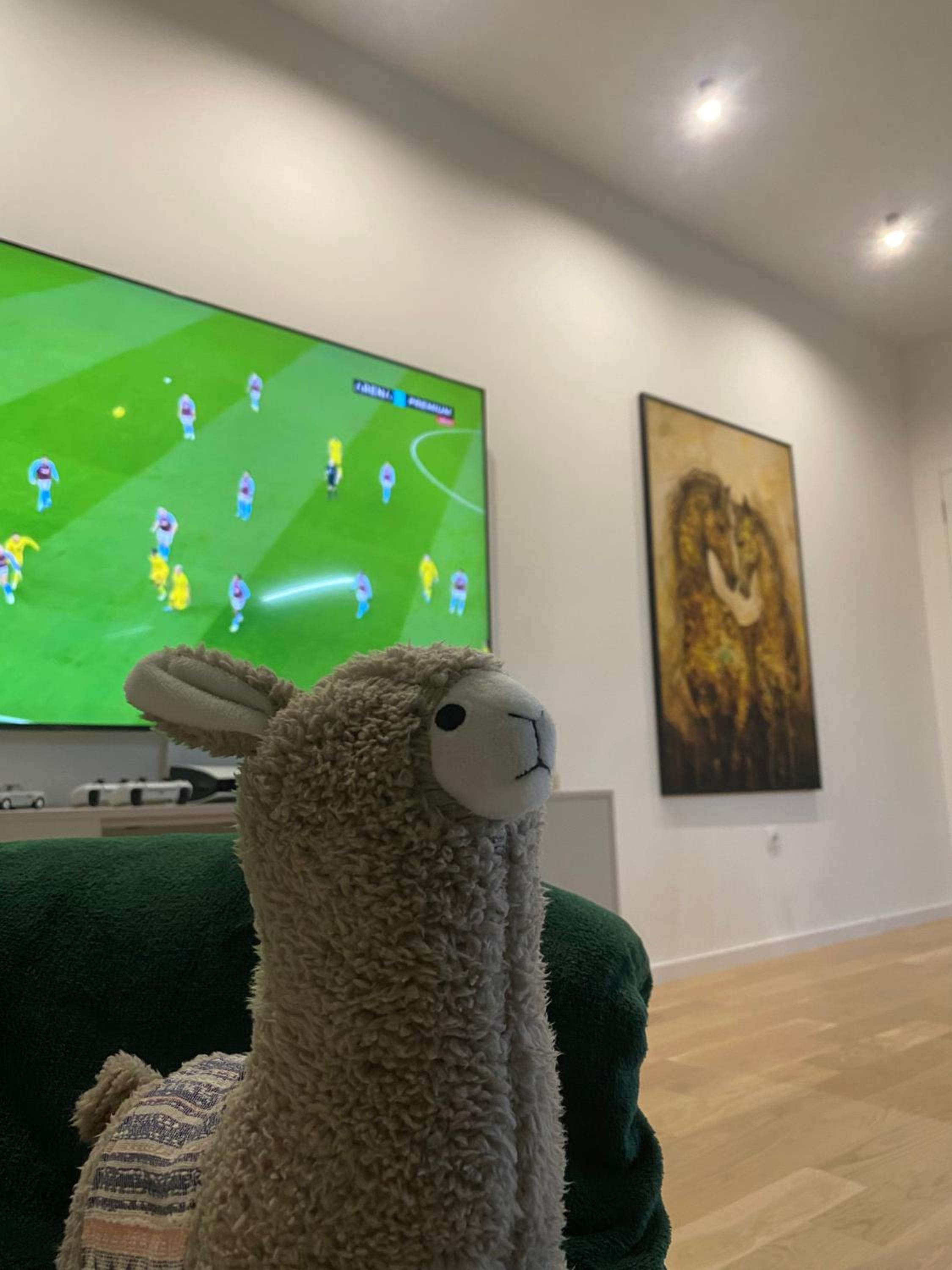 Apartment Llama