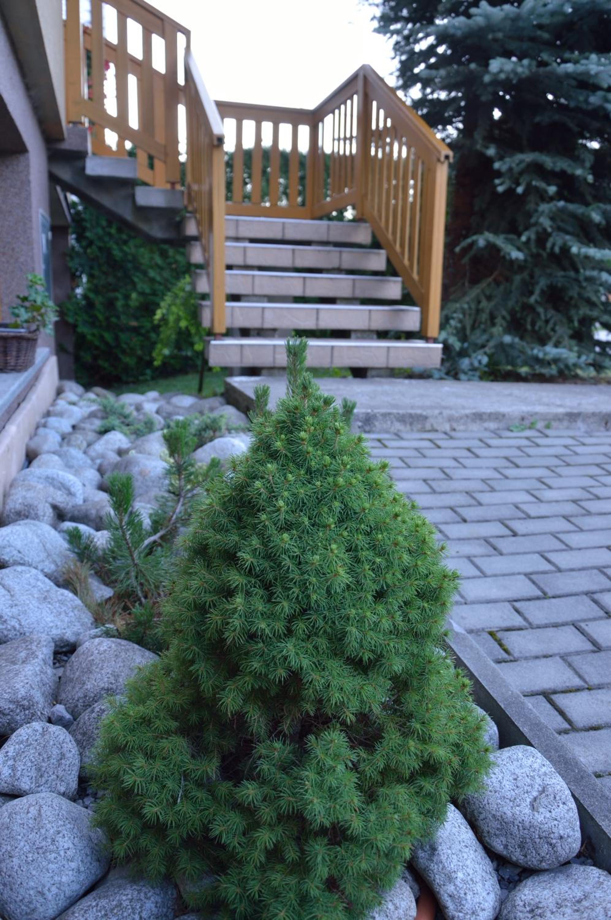 Photo 6