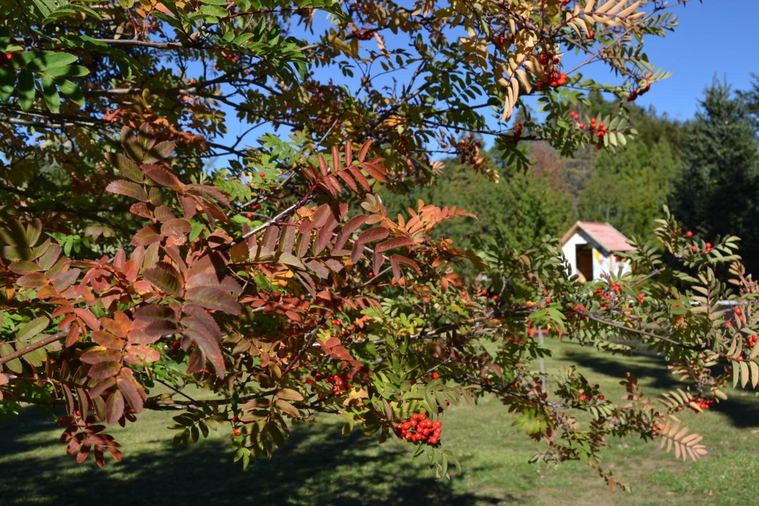 Hosteria Katy