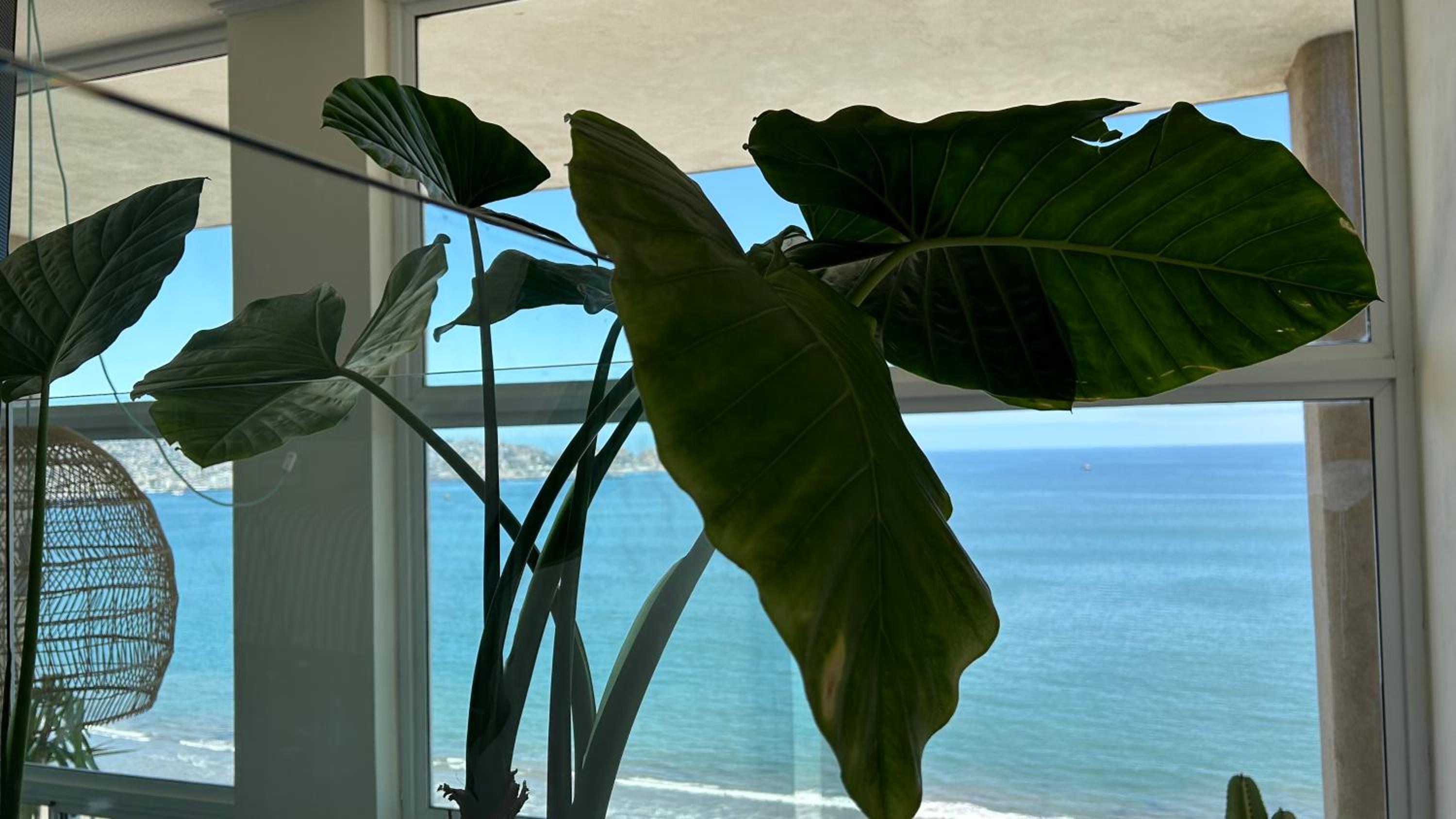 Loft playa la serena