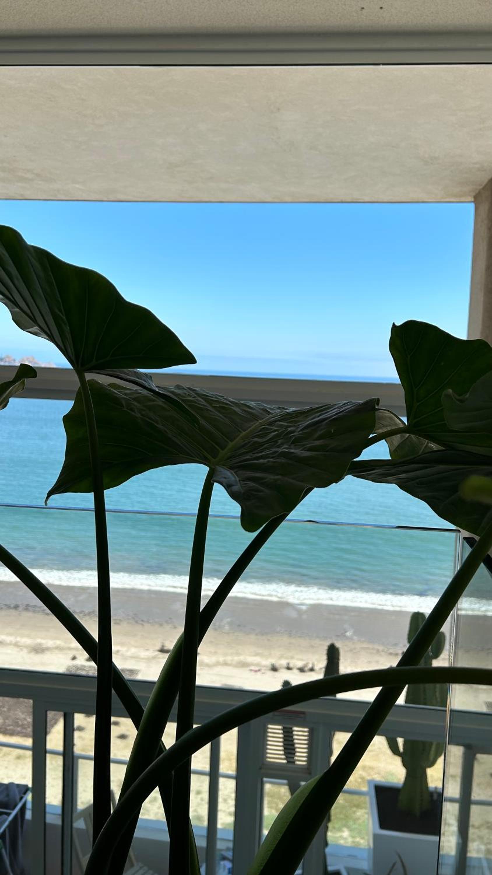 Loft playa la serena