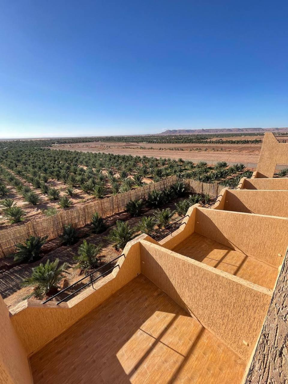 Palm Garden view 5