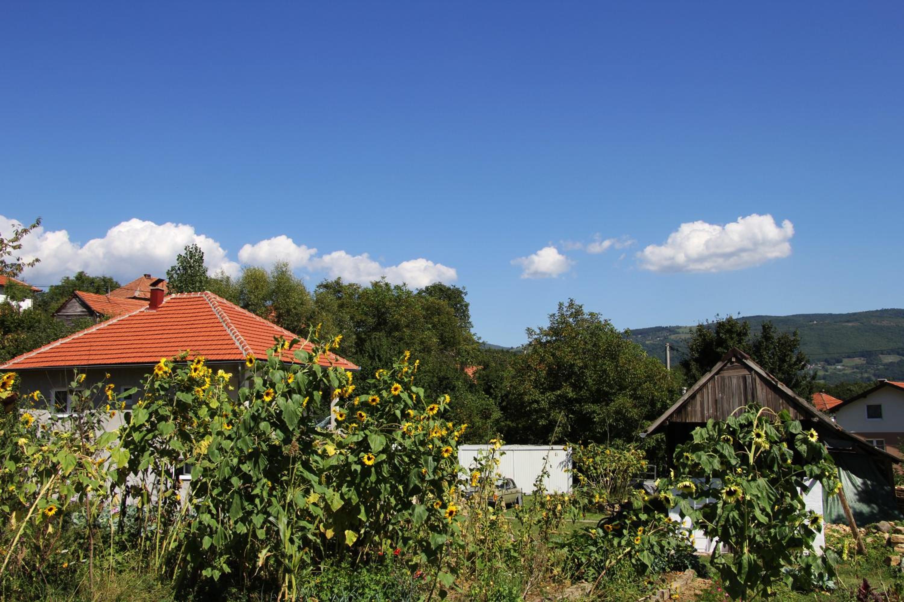 Apartment Pirol: Dorf Hideaway Gornja Breza