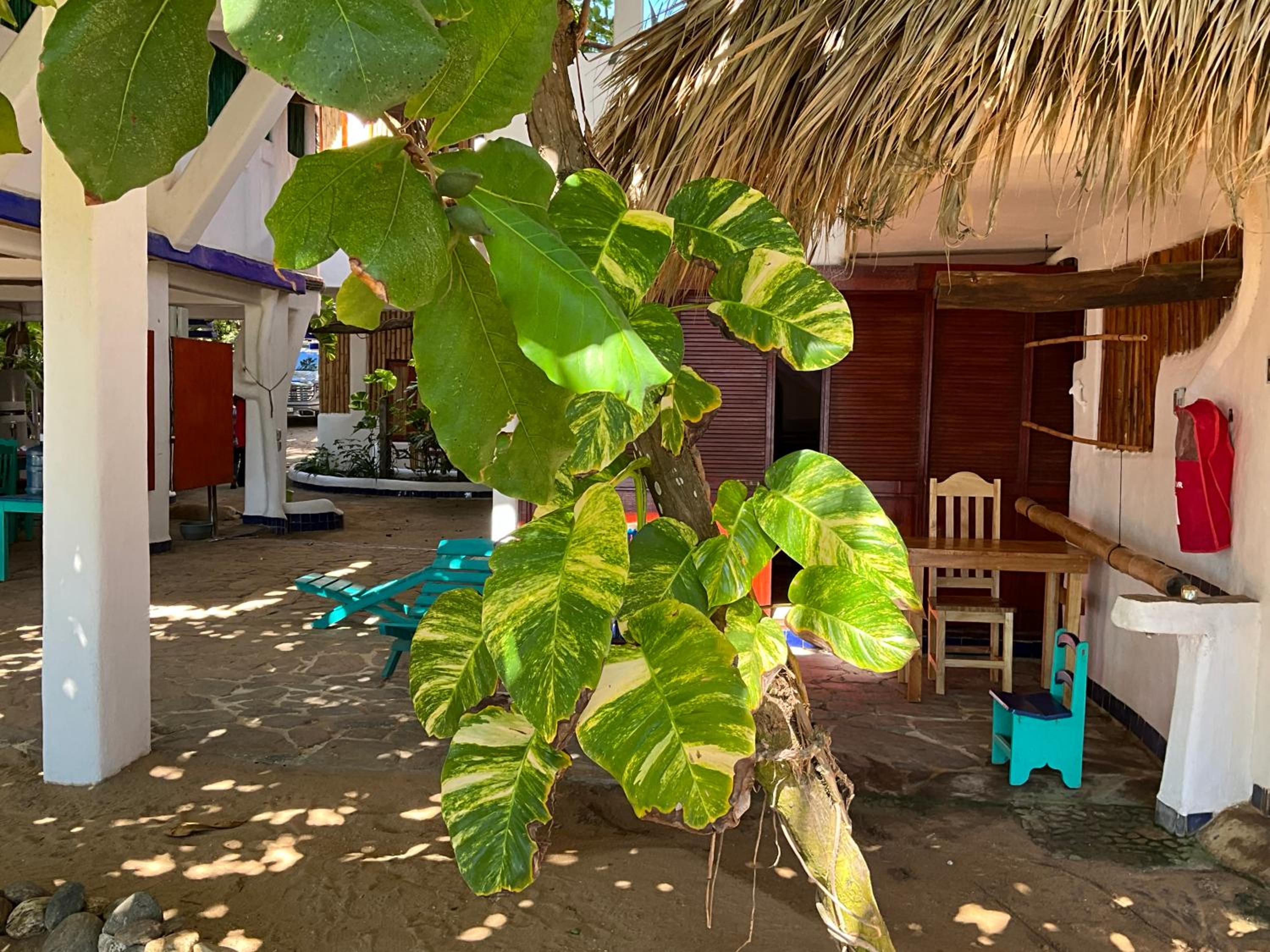 Bambú Ecocabañas