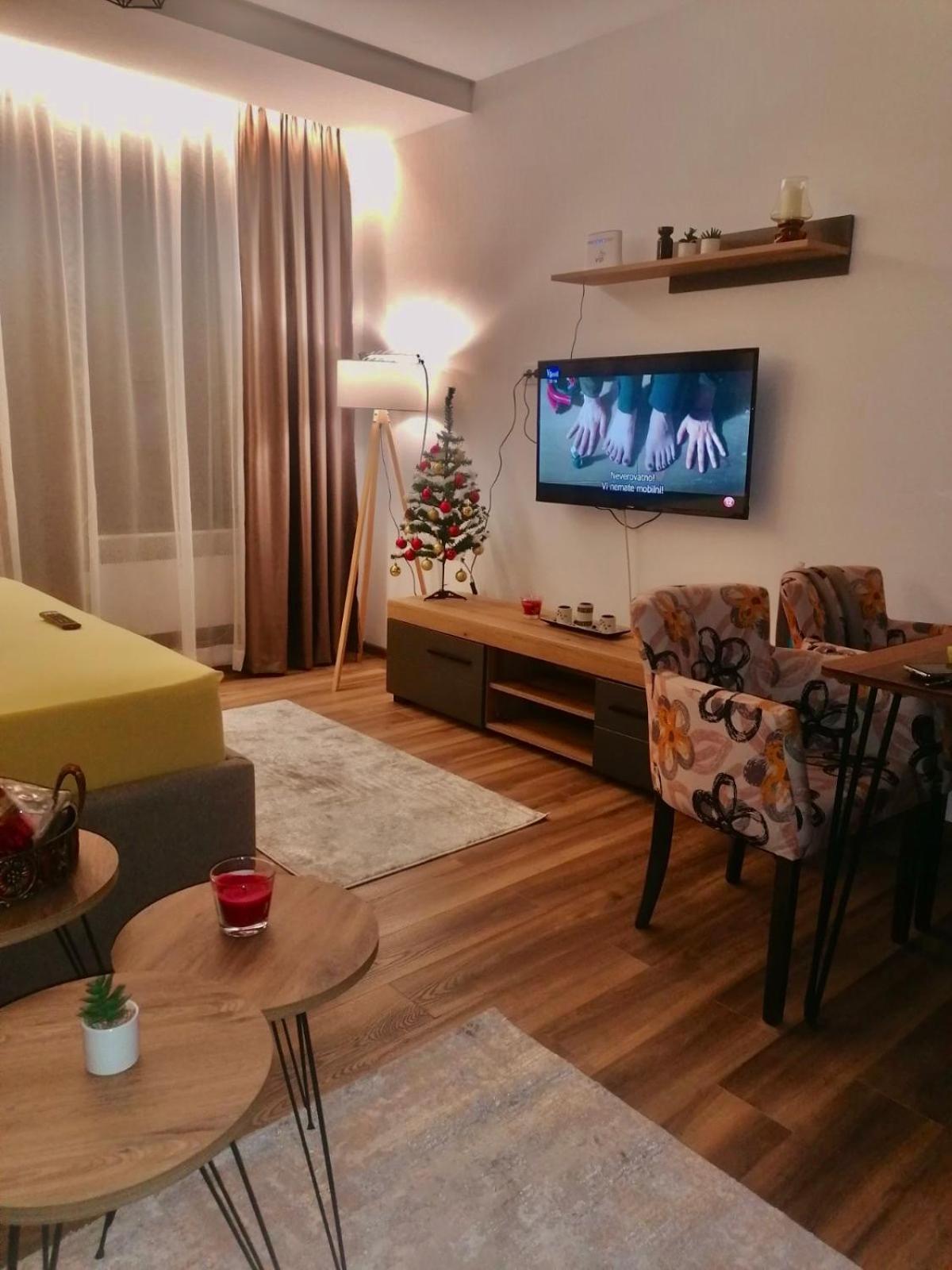Apartman Mitić A22 view 5