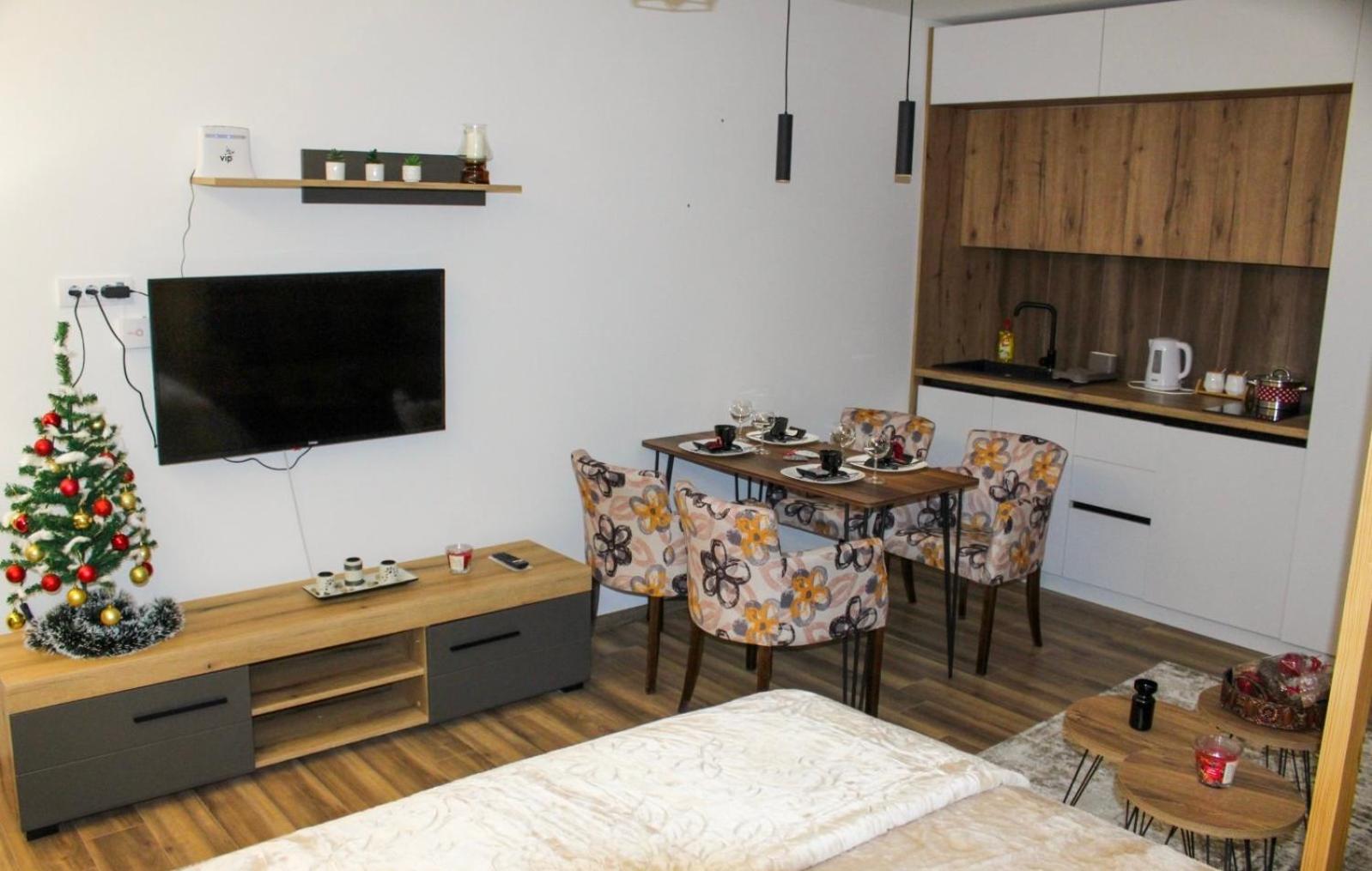 Apartman Mitić A22 view 3