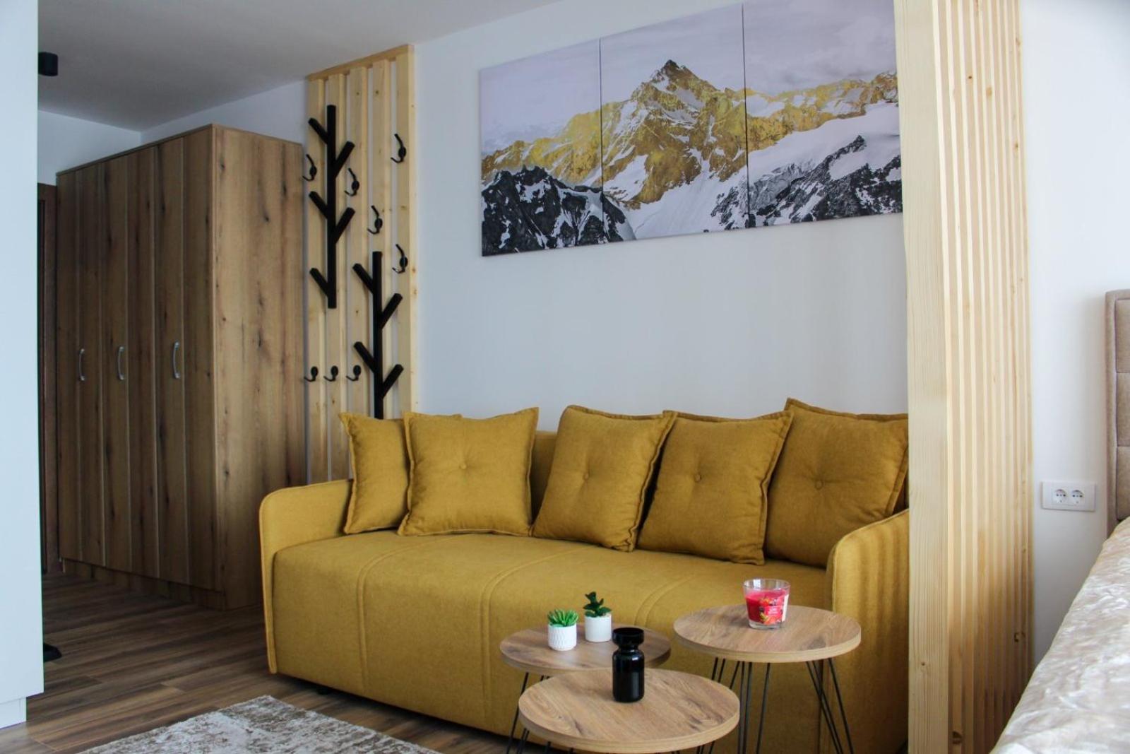 Apartman Mitić A22 view 4